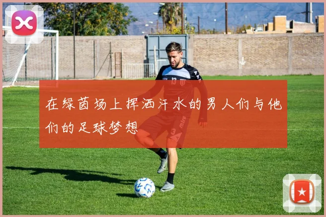 在绿茵场上挥洒汗水的男人们与他们的足球梦想