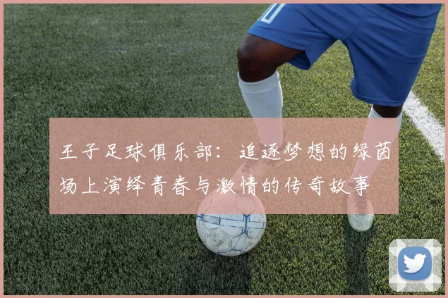 王子足球俱乐部：追逐梦想的绿茵场上演绎青春与激情的传奇故事