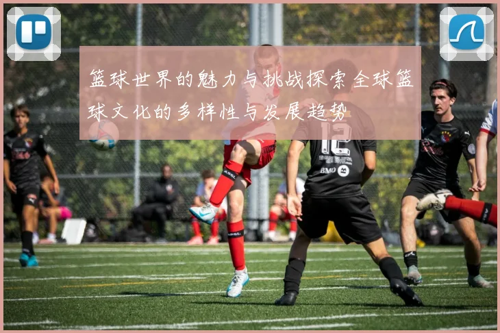 篮球世界的魅力与挑战探索全球篮球文化的多样性与发展趋势