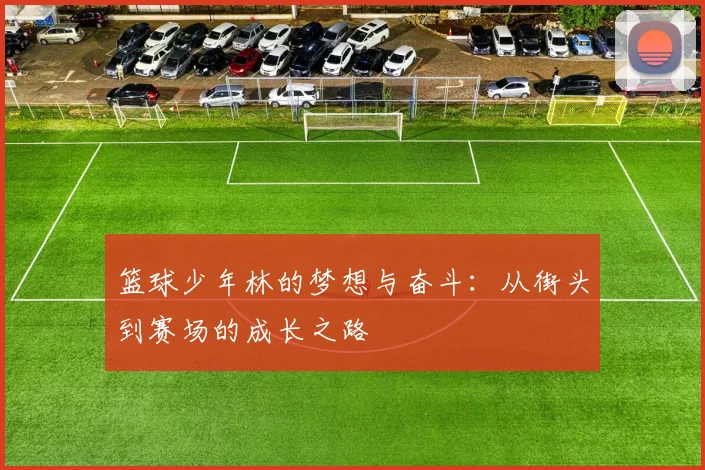 篮球少年林的梦想与奋斗：从街头到赛场的成长之路