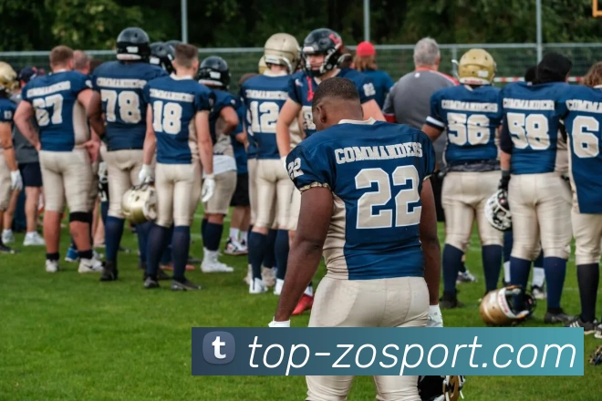 App Interface Preview